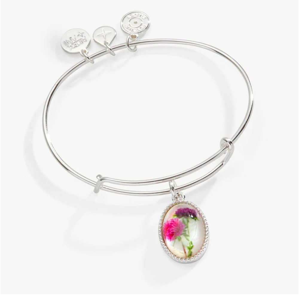 Alex and Ani Grandma bracelet